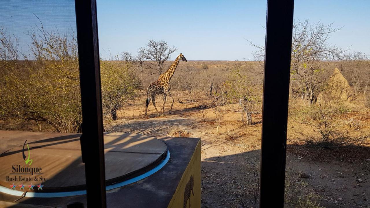 Silonque Bush Estate And Spa Phalaborwa Exterior photo
